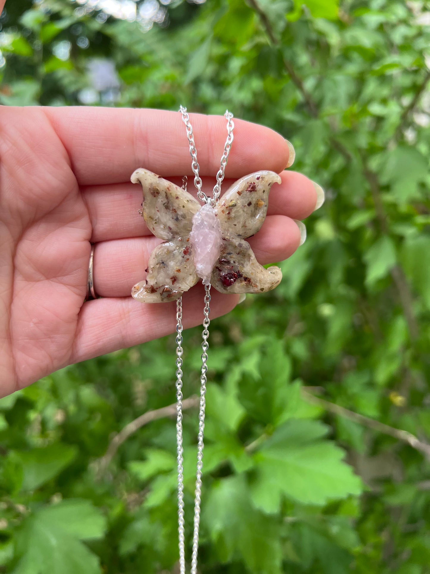 Intention Animal - Butterfly