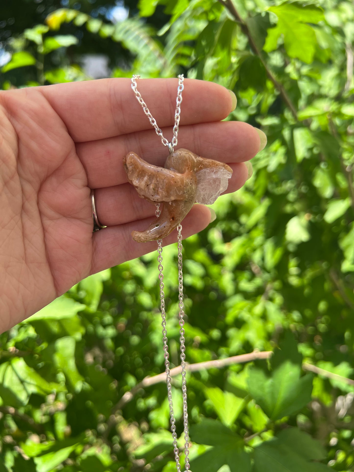 Intention Animal - Hummingbird