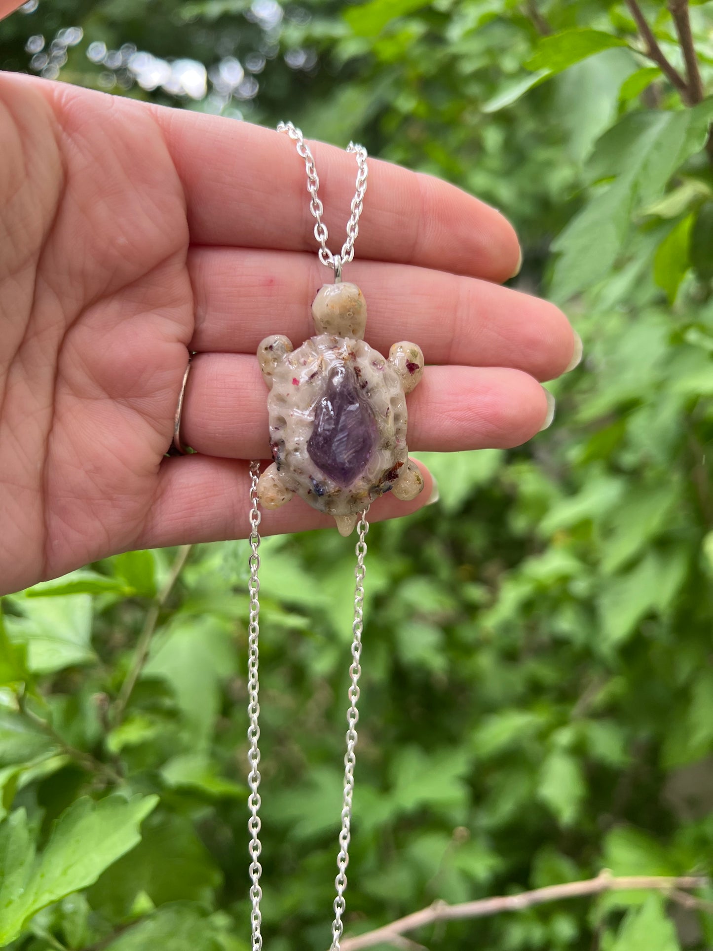 Intention Animal - Turtle