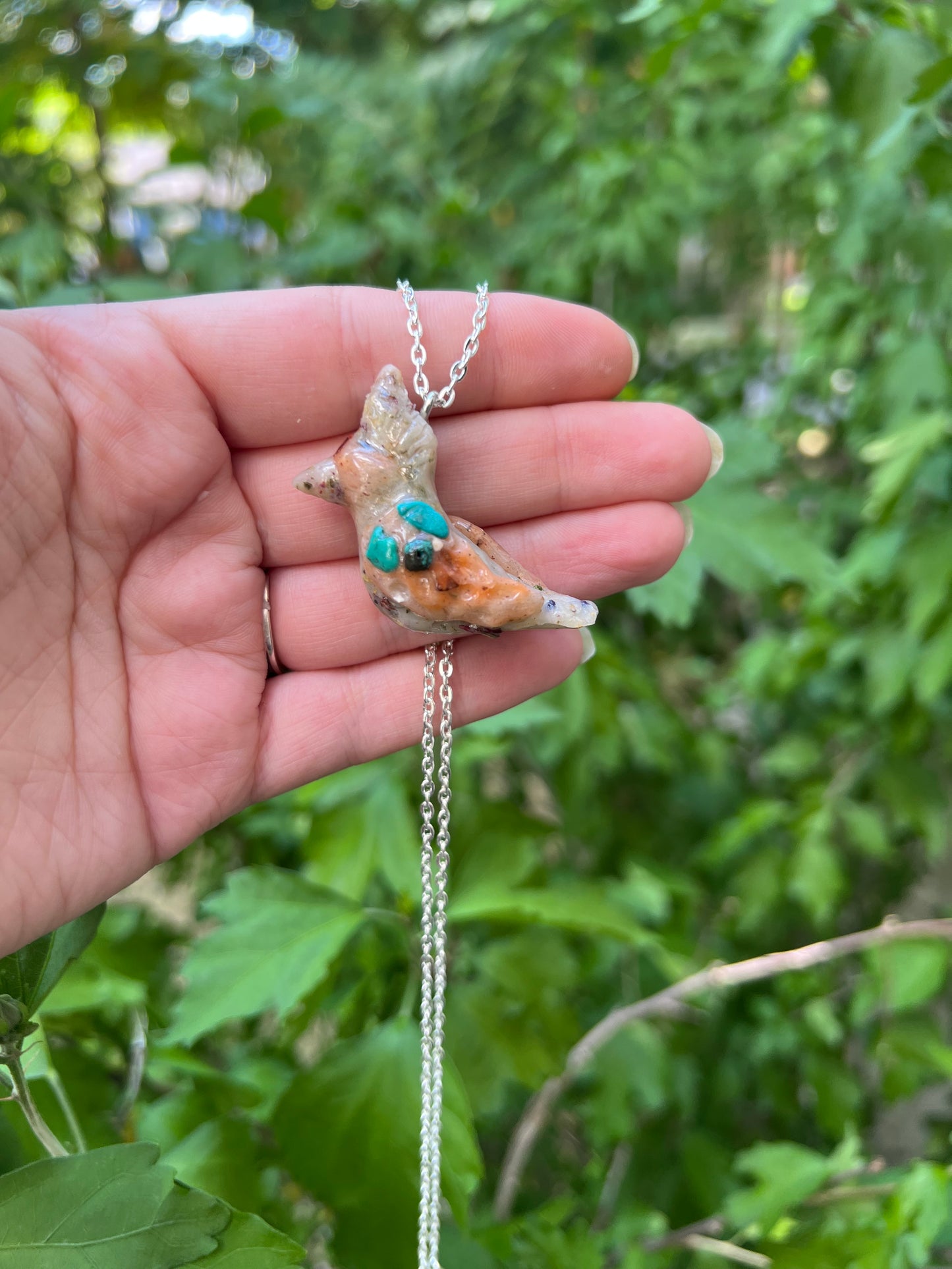 Intention Animal - Cardinal