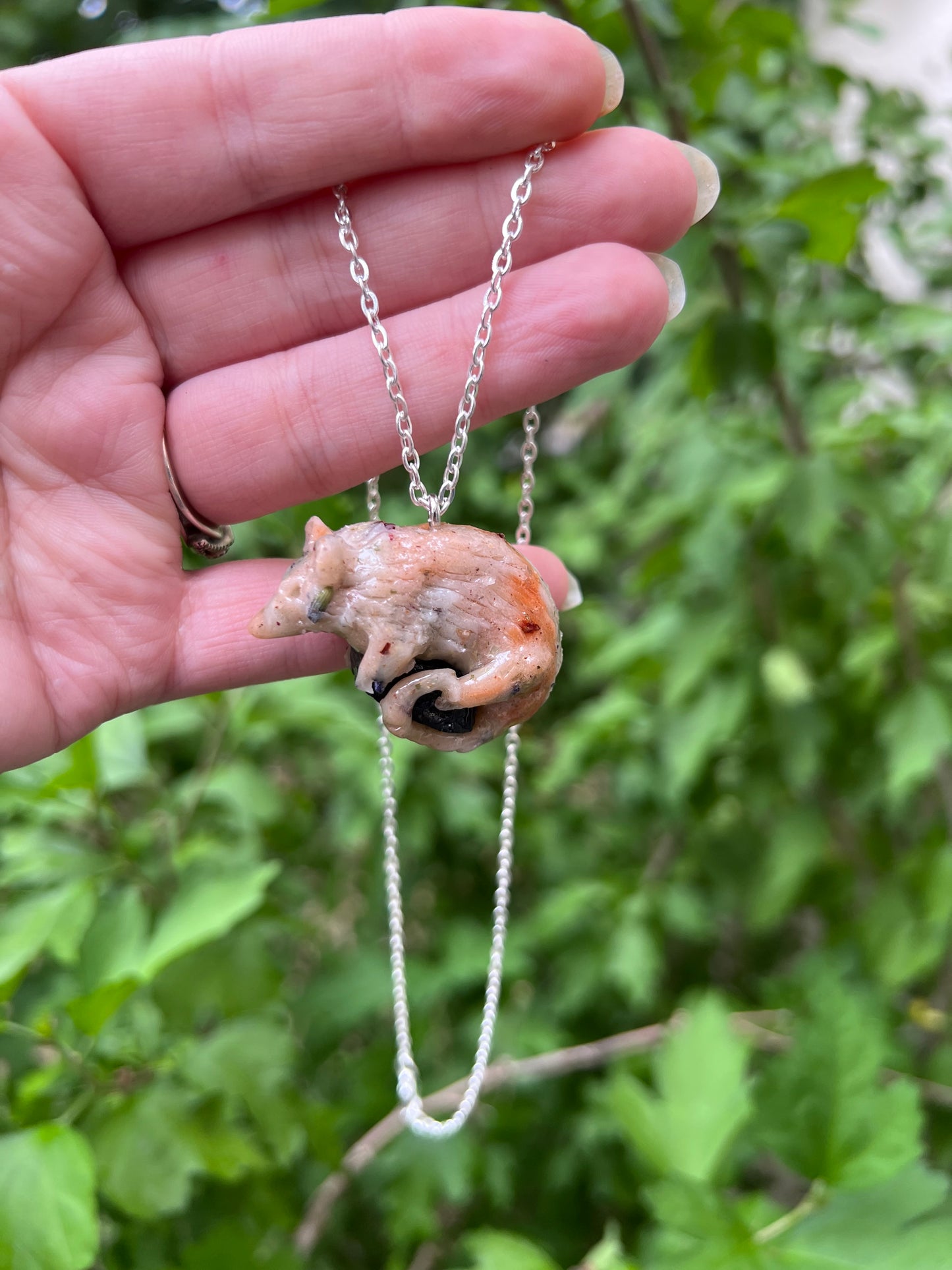 Intention Animal - Opossum