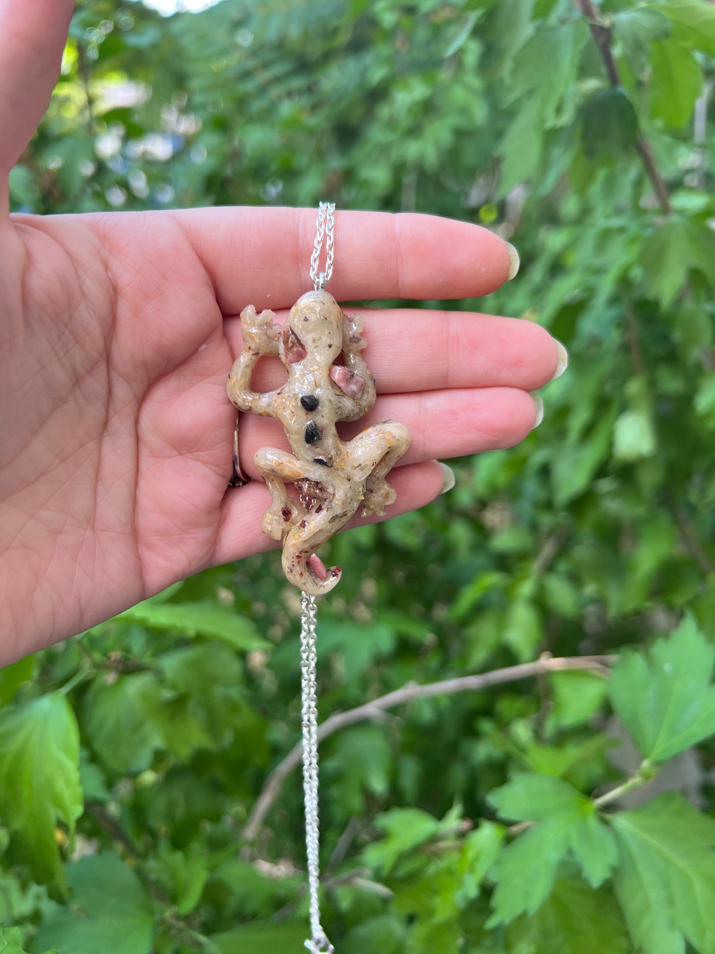 Intention Animal - Gecko