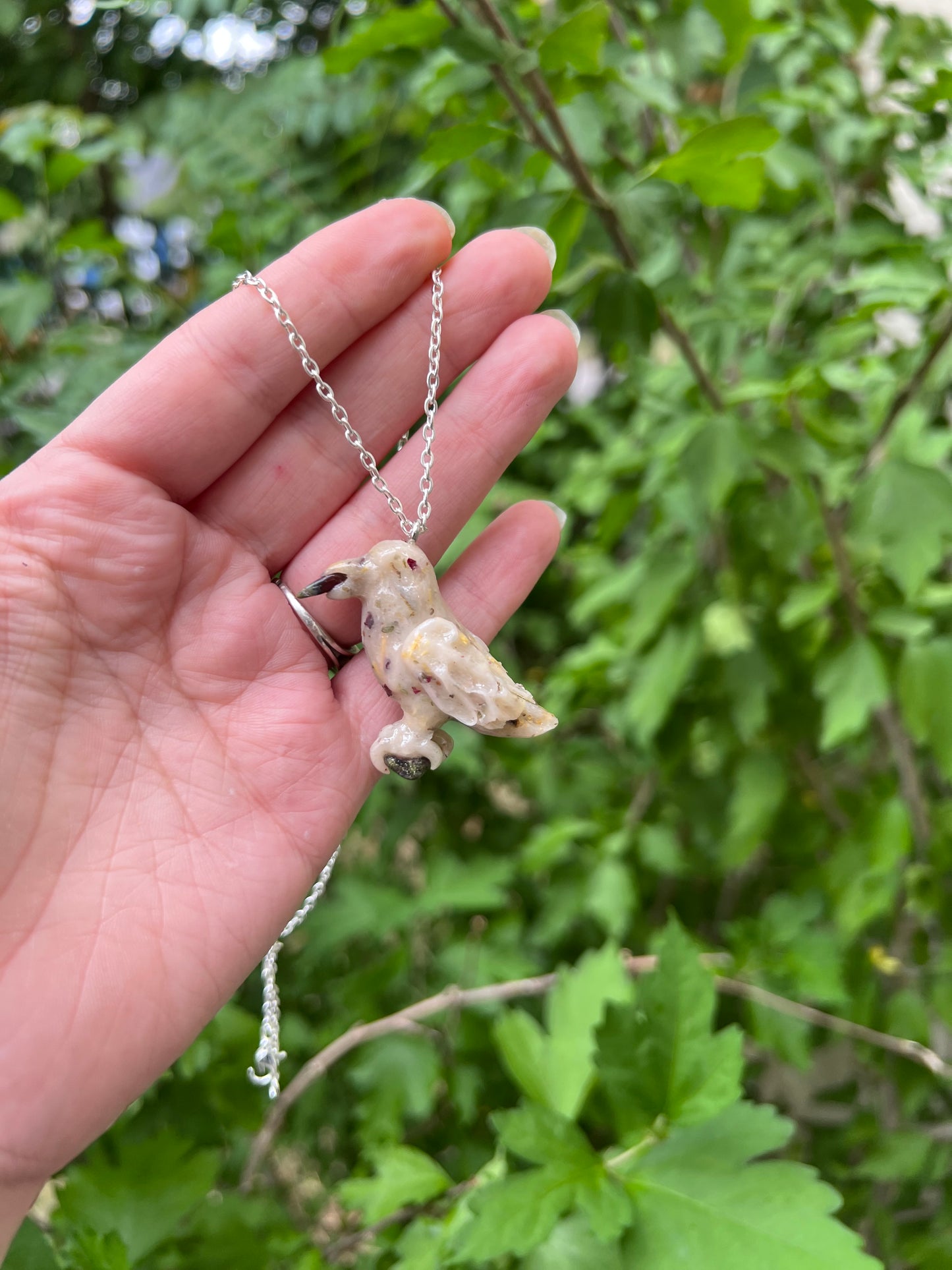 Intention Animal - Raven