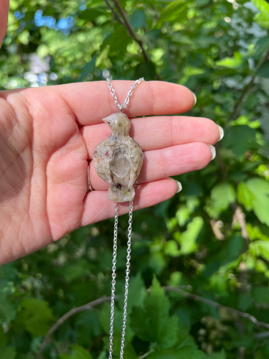 Intention Animal - Bird