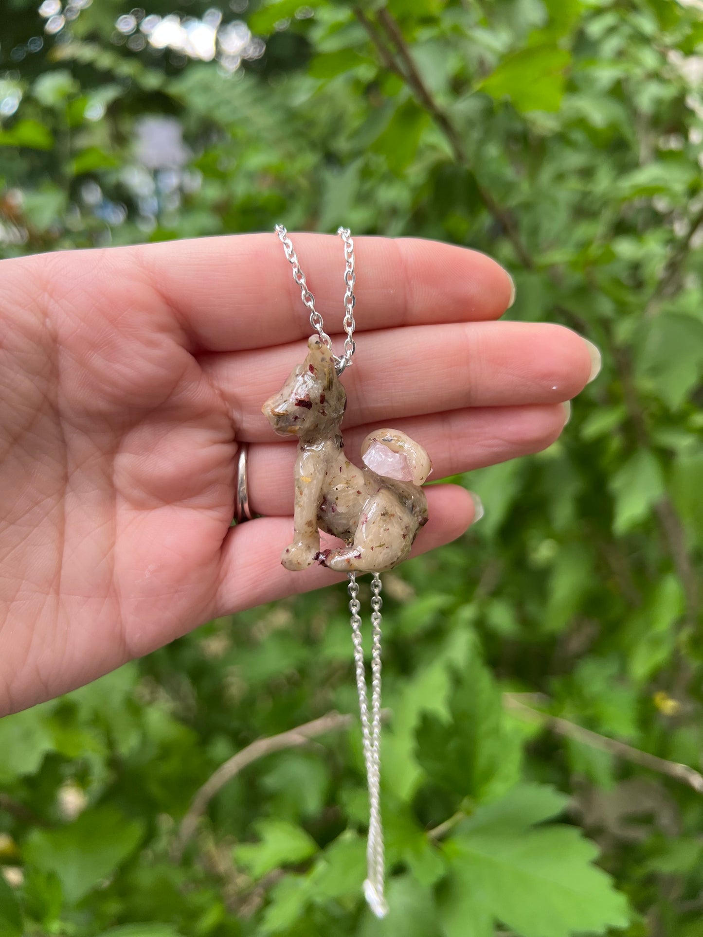 Intention Animal - Cat (profile)