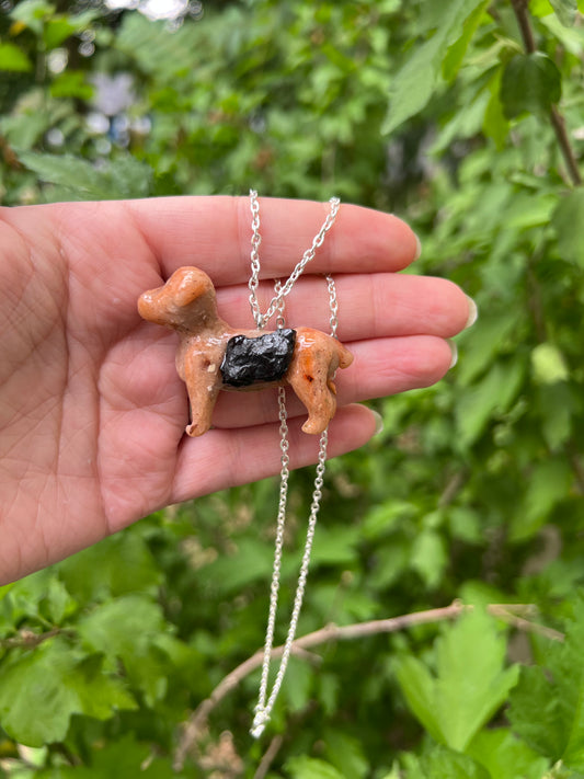 Intention Animal - Dog (Rottweiler)