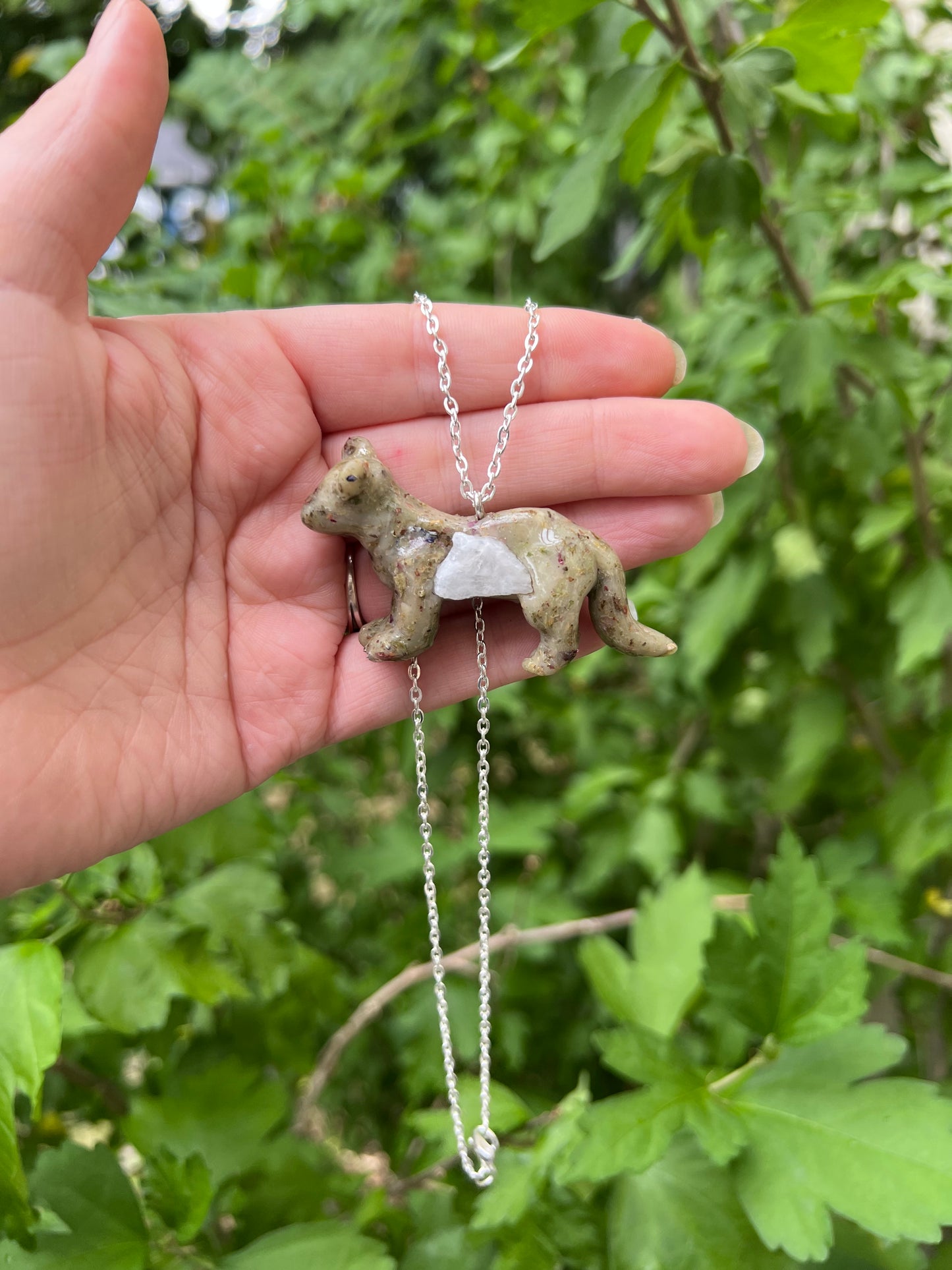 Intention Animal - Cougar