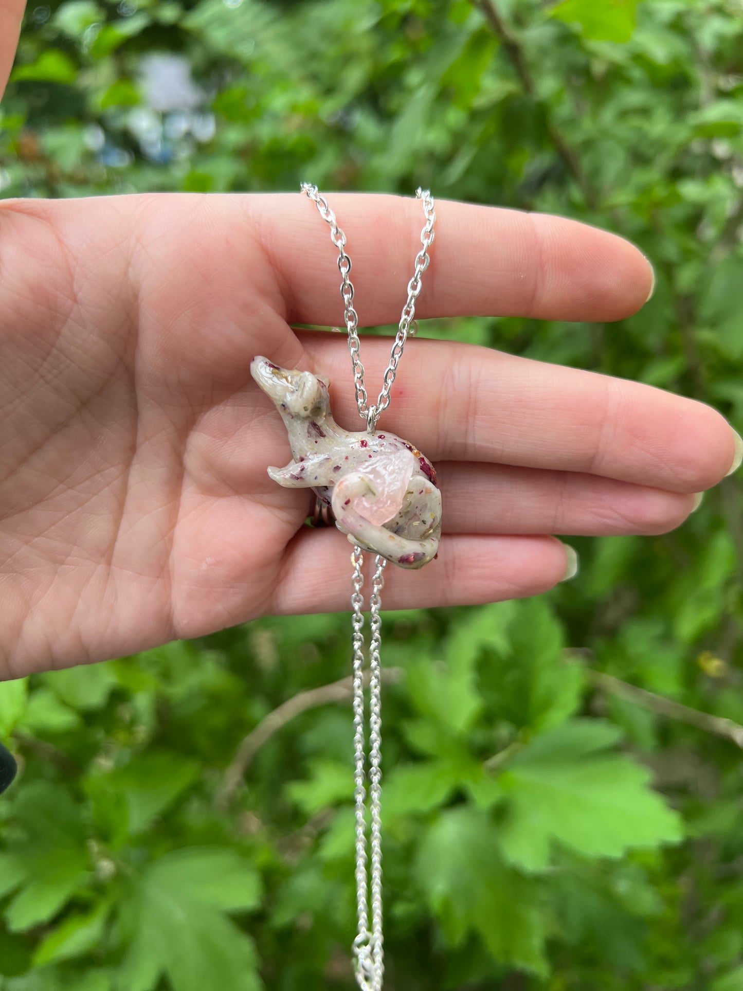 Intention Animal - Rat