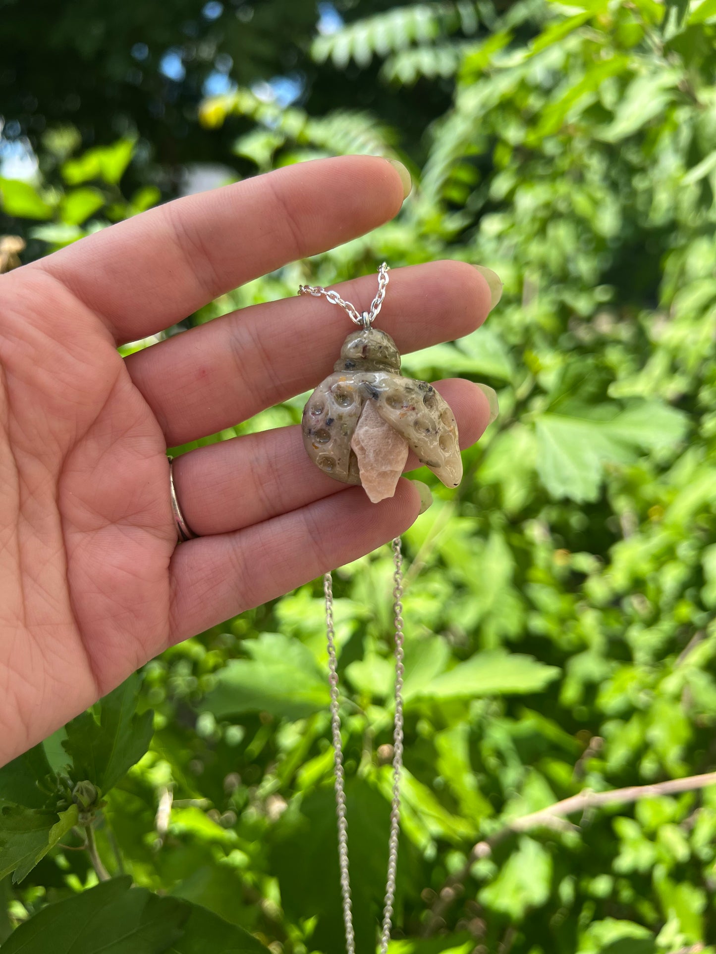 Intention Animal - LadyBug