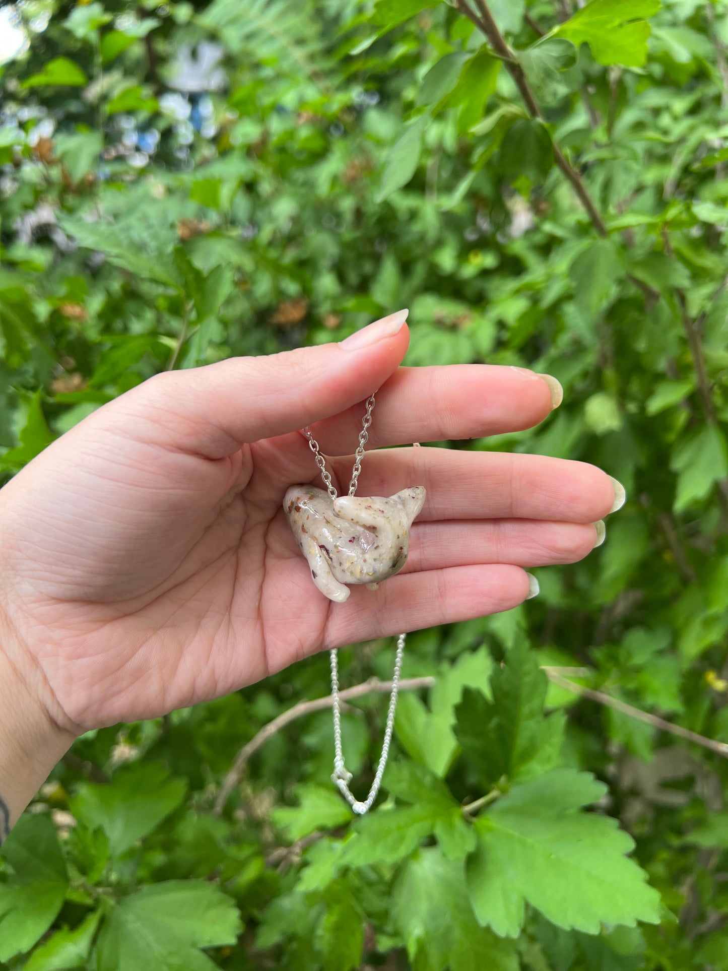 Intention Animal - Whale