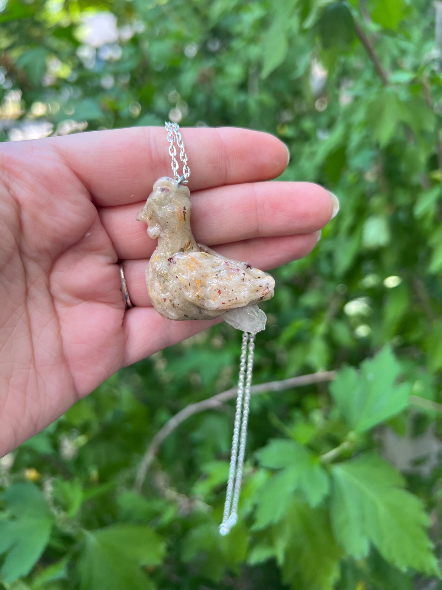 Intention Animal - Chicken