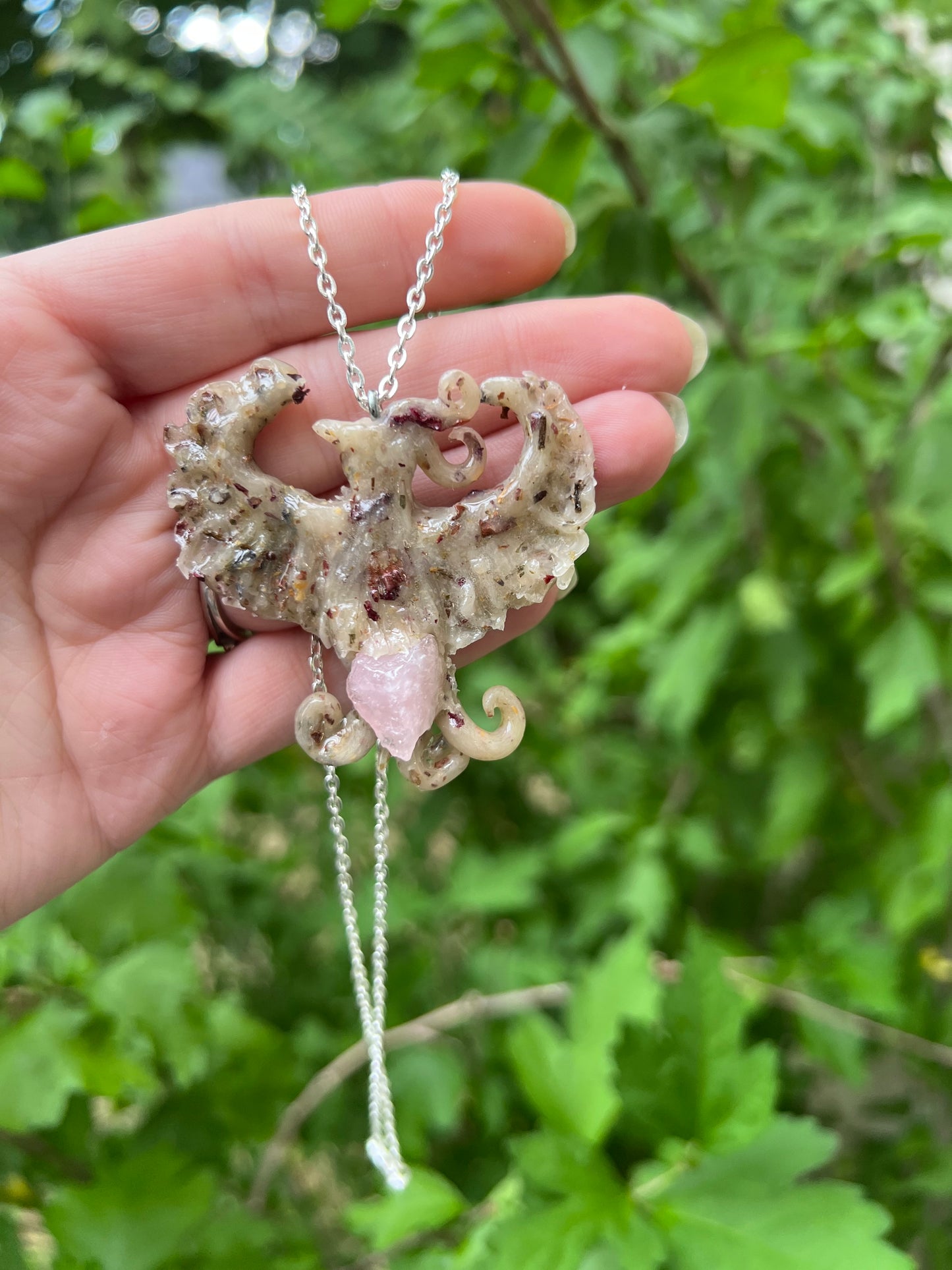 Intention Animal - Phoenix